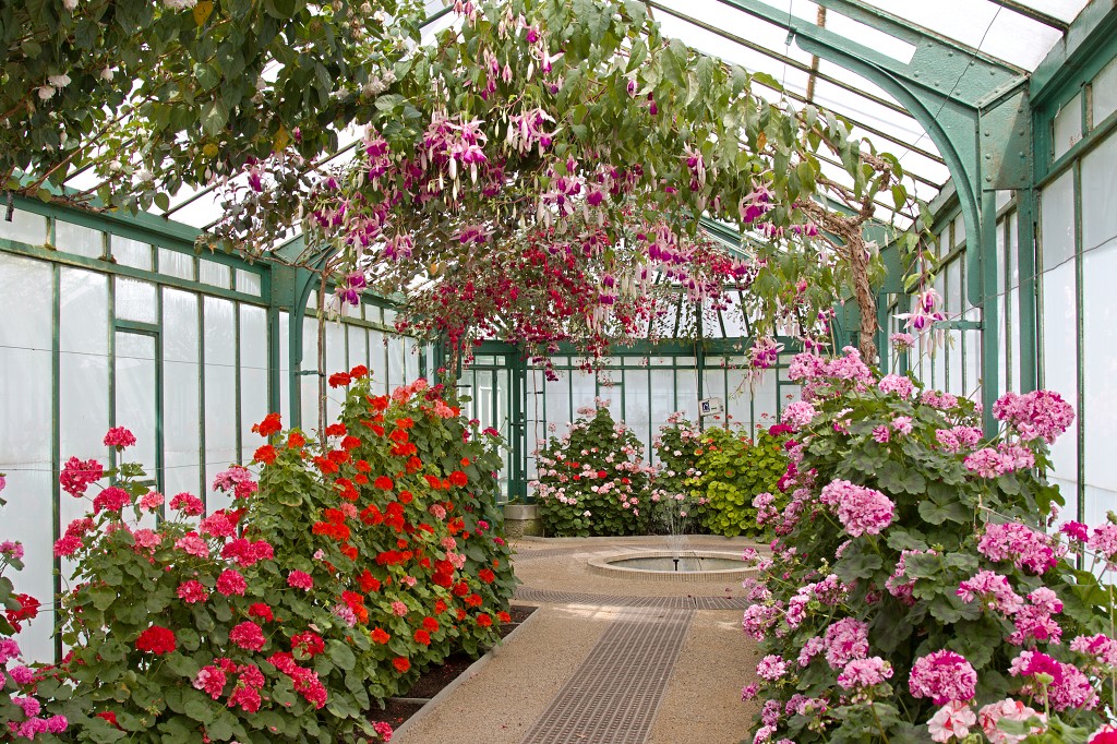 Serres royales de Laeken Koninklijke laken Koninklijk belgie serre kasteel hdr art nouveau tuin bloemen bloem architect Alphonse Balat Koning Leopold II plantencollectie